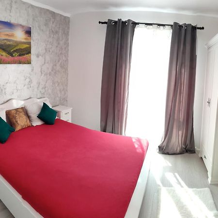 Apartament Gabriela Baia Mare Extérieur photo