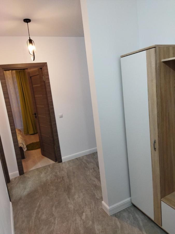 Apartament Gabriela Baia Mare Extérieur photo