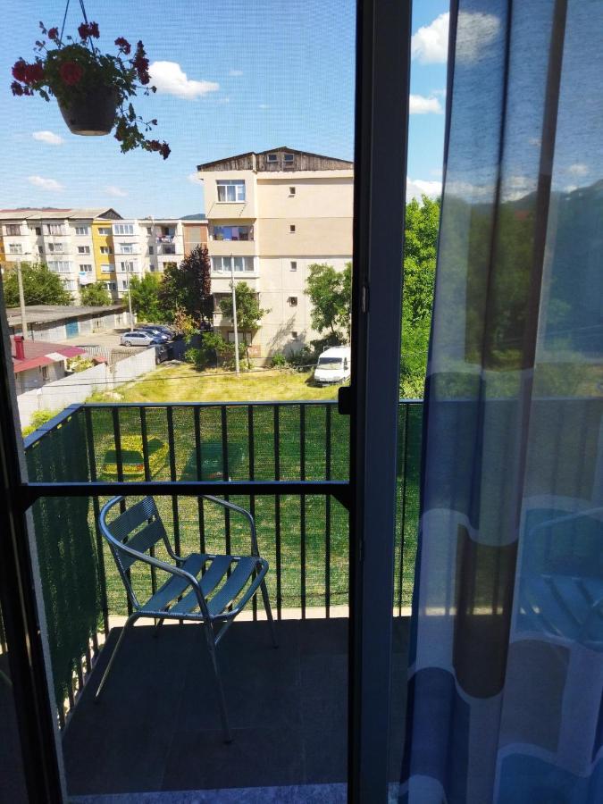 Apartament Gabriela Baia Mare Extérieur photo