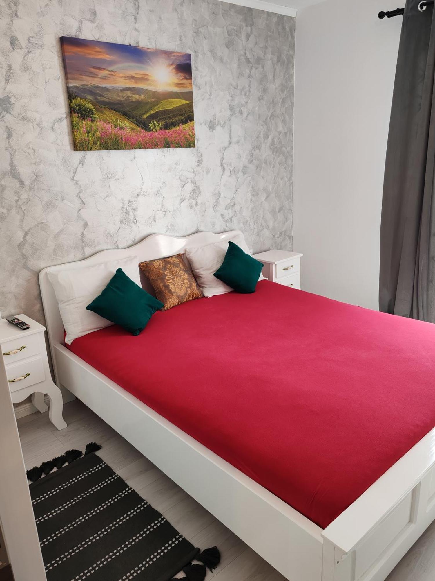 Apartament Gabriela Baia Mare Extérieur photo